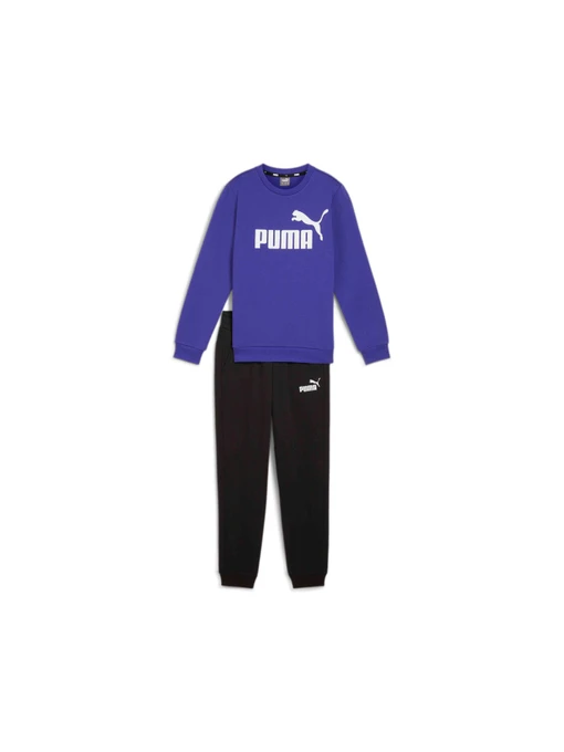 Костюми PUMA No.1 Logo Sweat Suit модель 670884 Фото