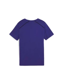 Футболки і поло PUMA Active Sports Graphic Tee модель 681805 Фото