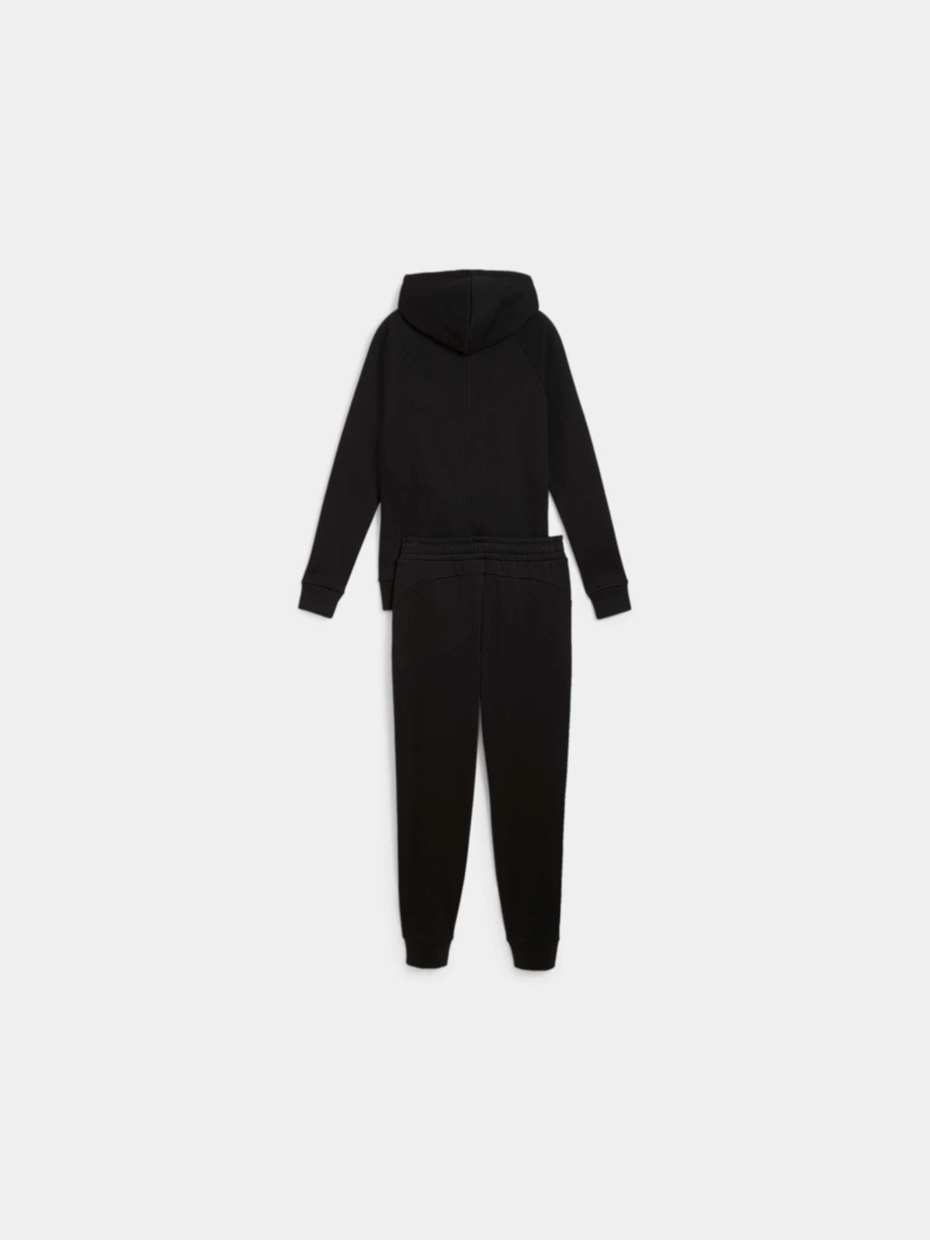 Костюмы PUMA Classic Hooded Tracksuit Fl модель 683035 Костюмы PUMA Classic Hooded Tracksuit Fl модель 683035 Фото