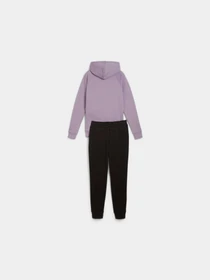 Костюмы PUMA Classic Hooded Tracksuit Fl модель 683035 Фото