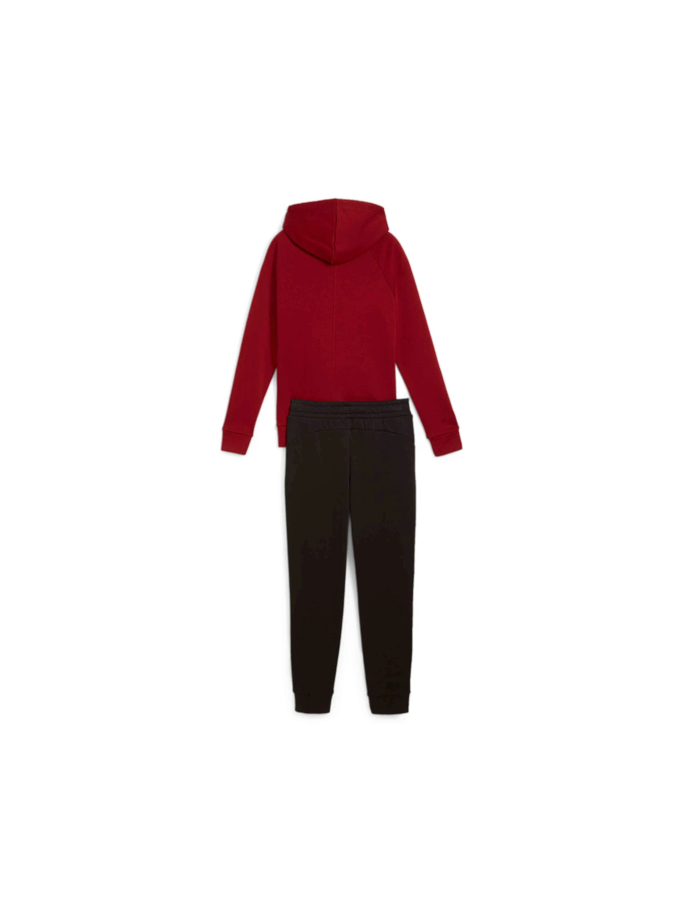 Костюмы PUMA Classic Hooded Tracksuit Fl модель 683035 Костюмы PUMA Classic Hooded Tracksuit Fl модель 683035 Фото