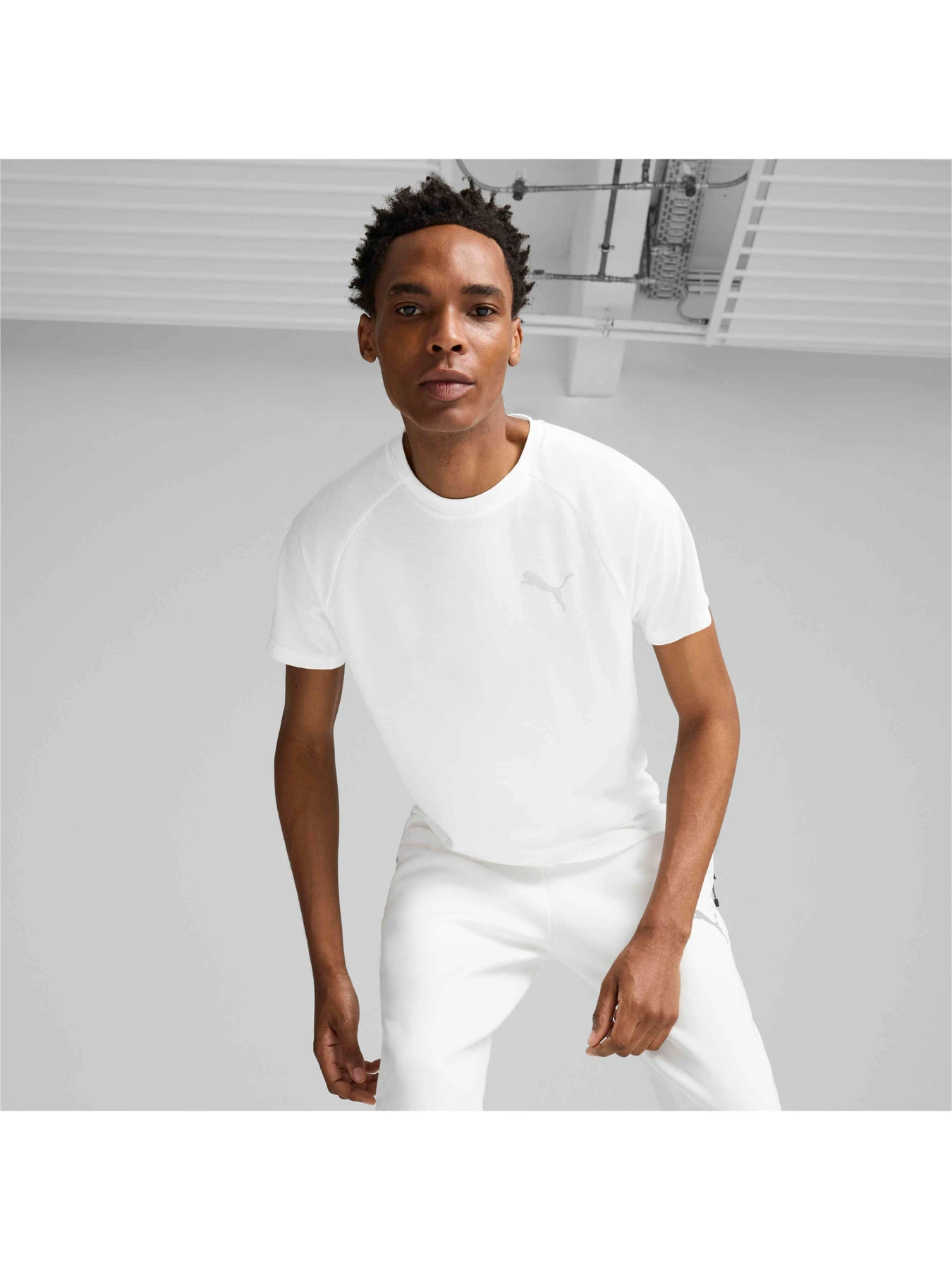 Футболки і поло PUMA Evostripe Tee модель 681697 Фото