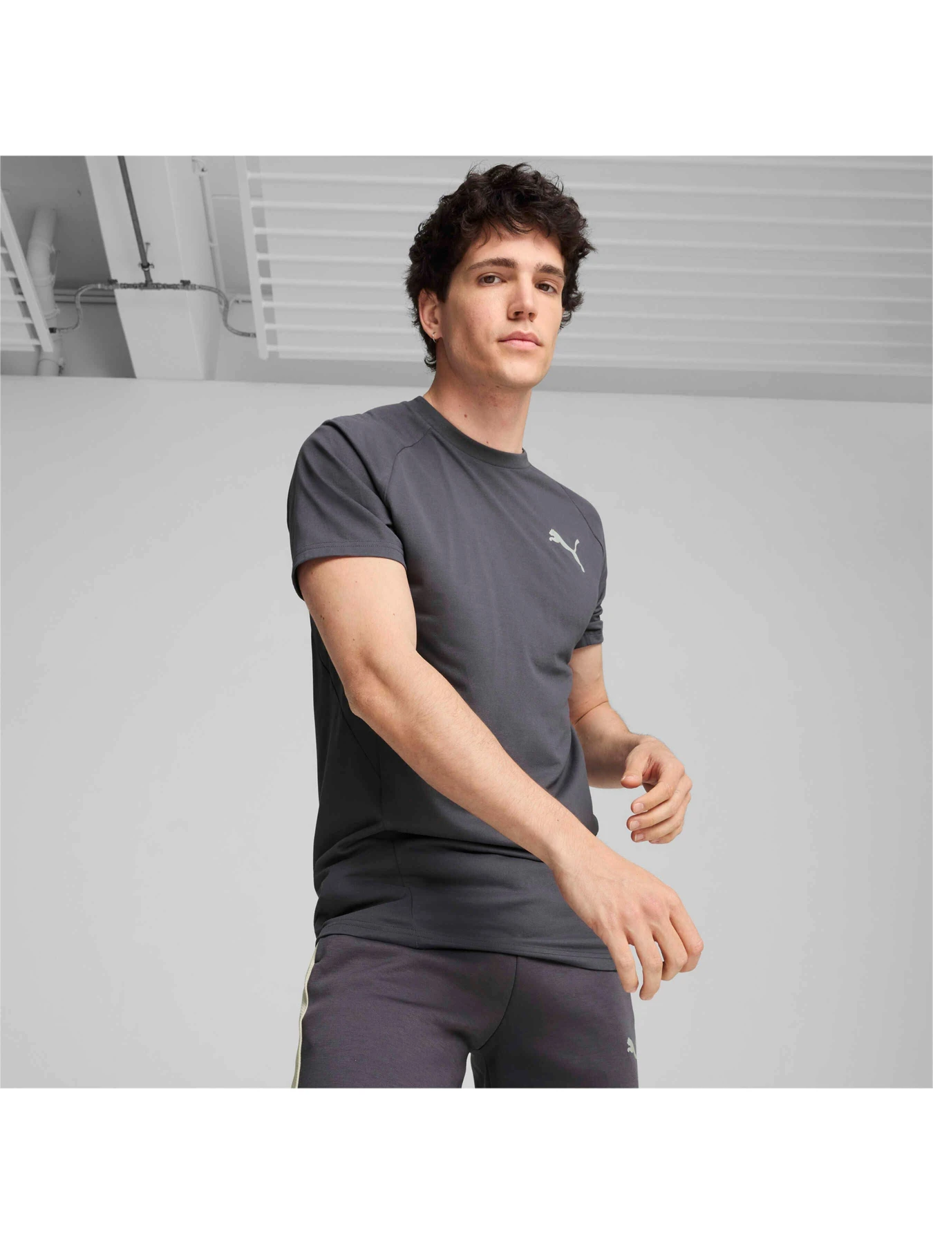 Футболки і поло PUMA Evostripe Tee модель 681697 Фото