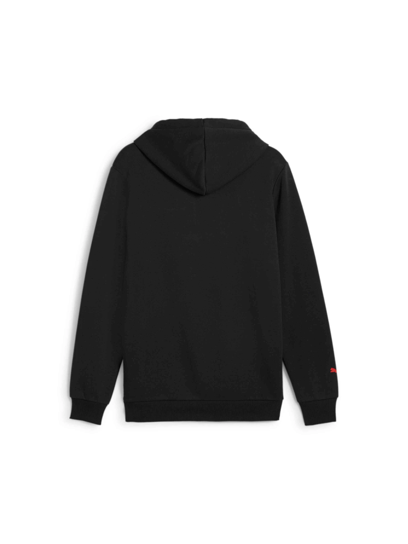 Худи и свитшоты PUMA F1 Ess Logo Hoodie Fl модель 627224 Фото