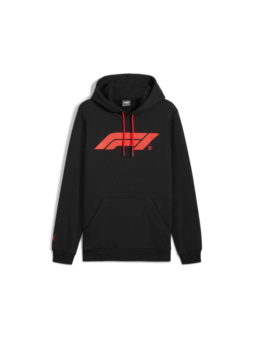 Худи и свитшоты PUMA F1 Ess Logo Hoodie Fl модель 627224 Фото
