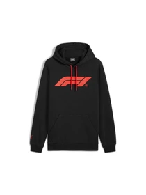 Худи и свитшоты PUMA F1 Ess Logo Hoodie Fl модель 627224 Фото