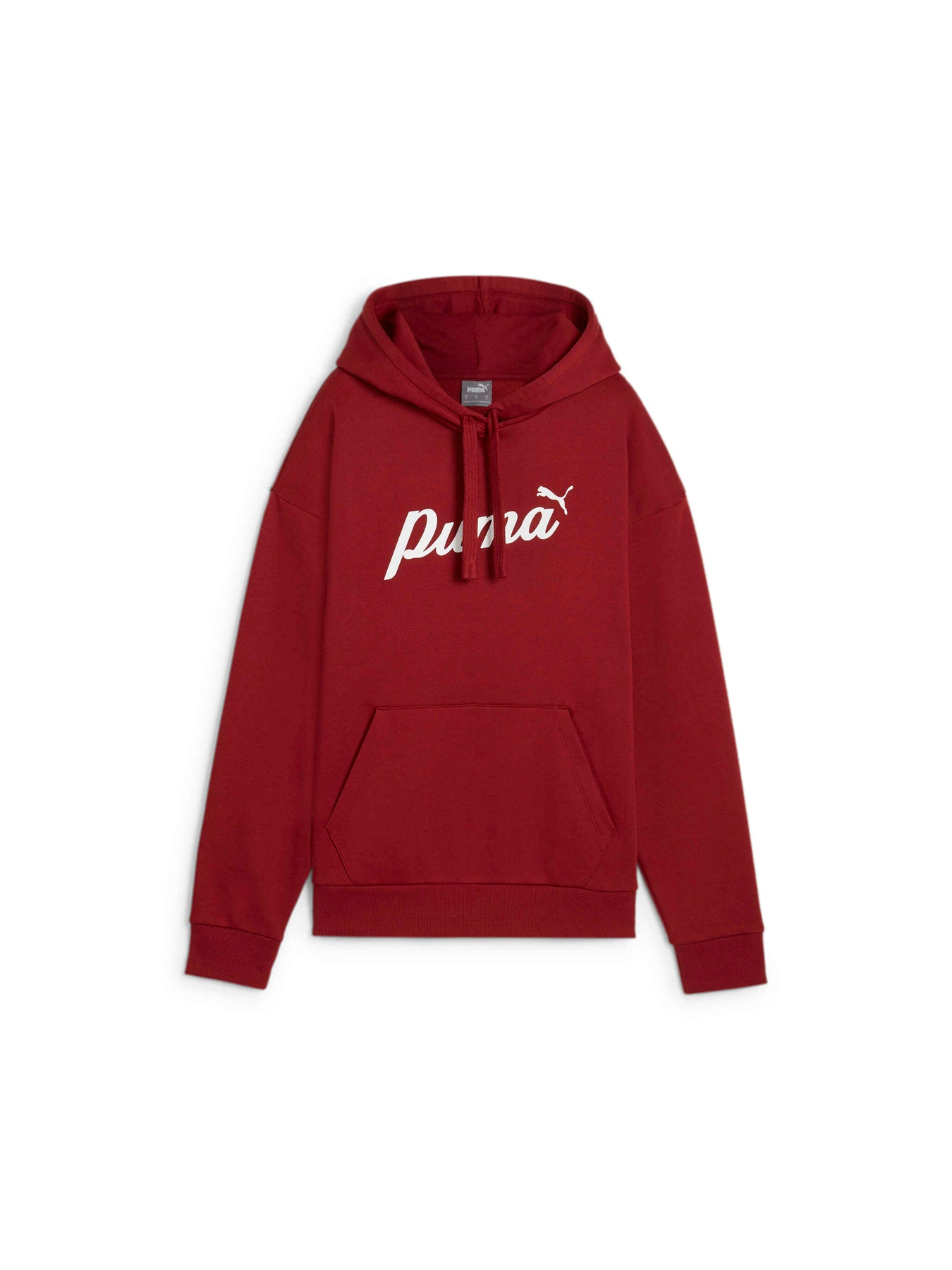 Худи и свитшоты PUMA Ess+ Script Hoodie Fl модель 681534 Фото