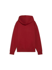 Худи и свитшоты PUMA Ess+ Script Hoodie Fl модель 681534 Фото