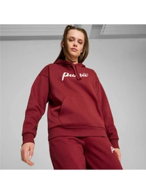 Худи и свитшоты PUMA Ess+ Script Hoodie Fl модель 681534 Фото