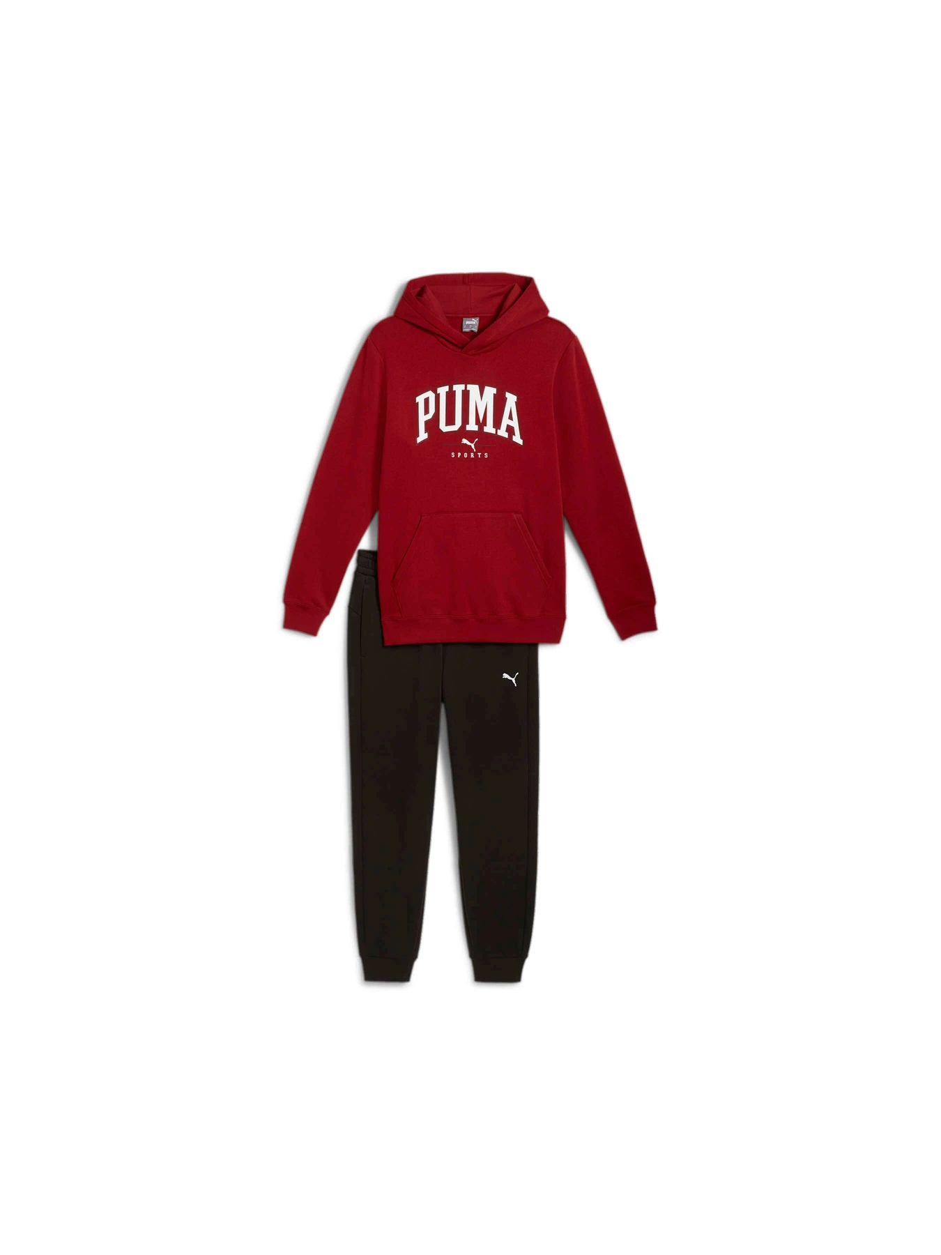 Костюмы PUMA Squad Hooded Suit Fl модель 683817 Фото