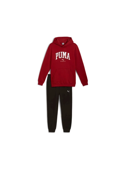 Костюмы PUMA Squad Hooded Suit Fl модель 683817 Фото