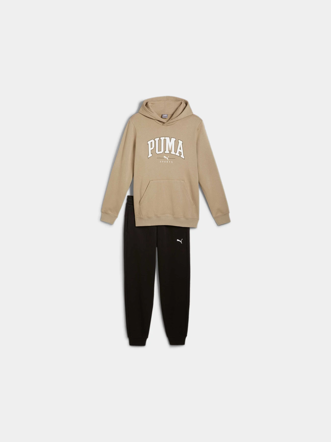 Костюмы PUMA Squad Hooded Suit Fl модель 683817 Костюмы PUMA Squad Hooded Suit Fl модель 683817 Фото