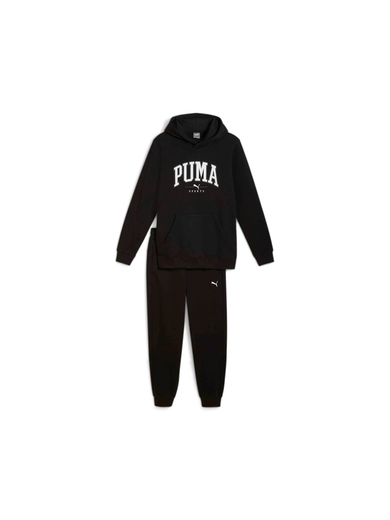 Костюмы PUMA Squad Hooded Suit Fl модель 683817 Фото