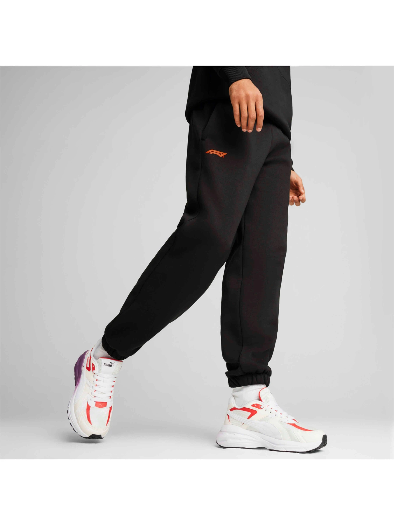 Брюки PUMA F1 Ess Sweatpants Fl модель 627223 Брюки PUMA F1 Ess Sweatpants Fl модель 627223 Фото