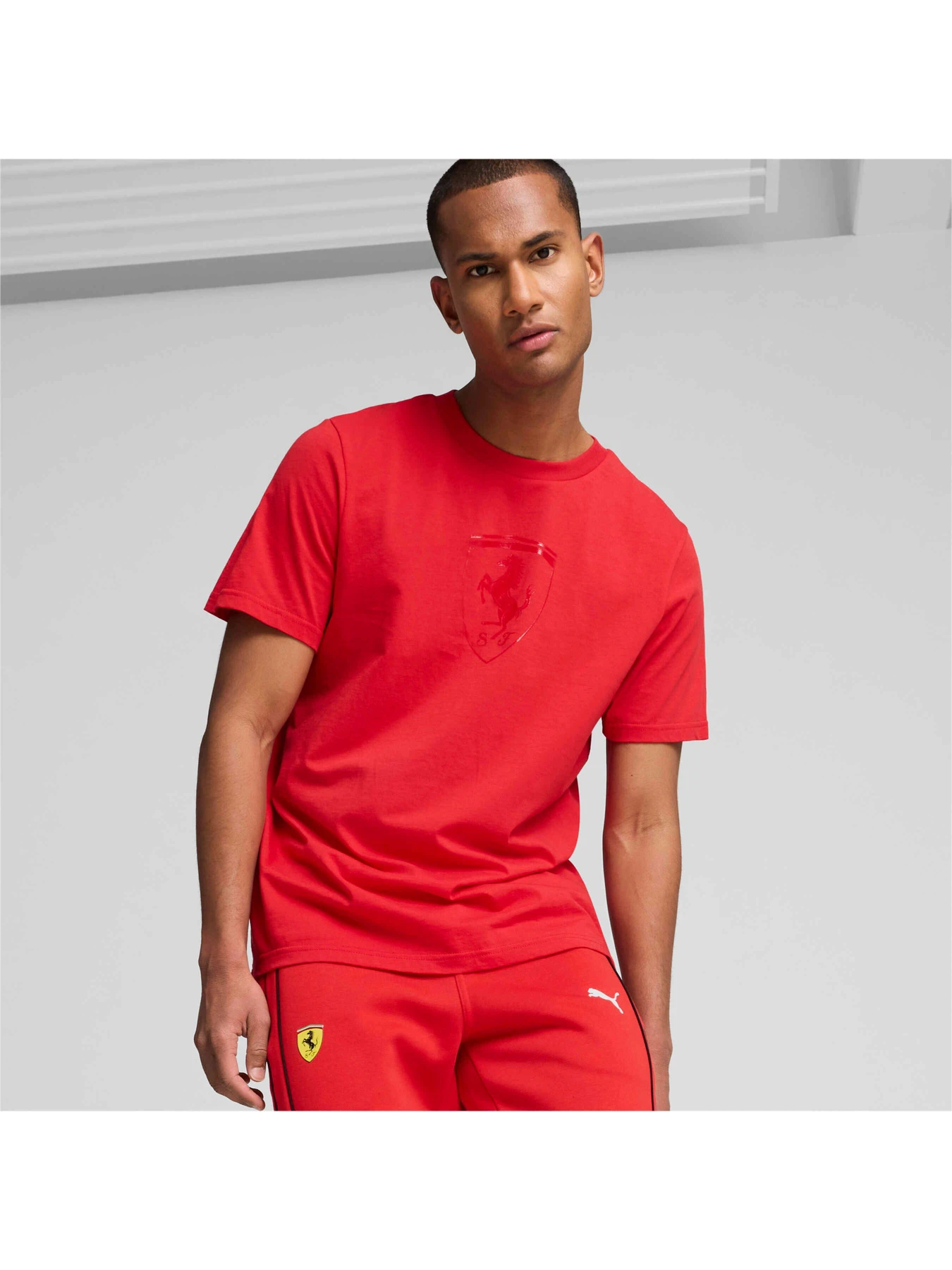 Футболки і поло PUMA Ferrari Race Tonal Shield T модель 627057 Фото