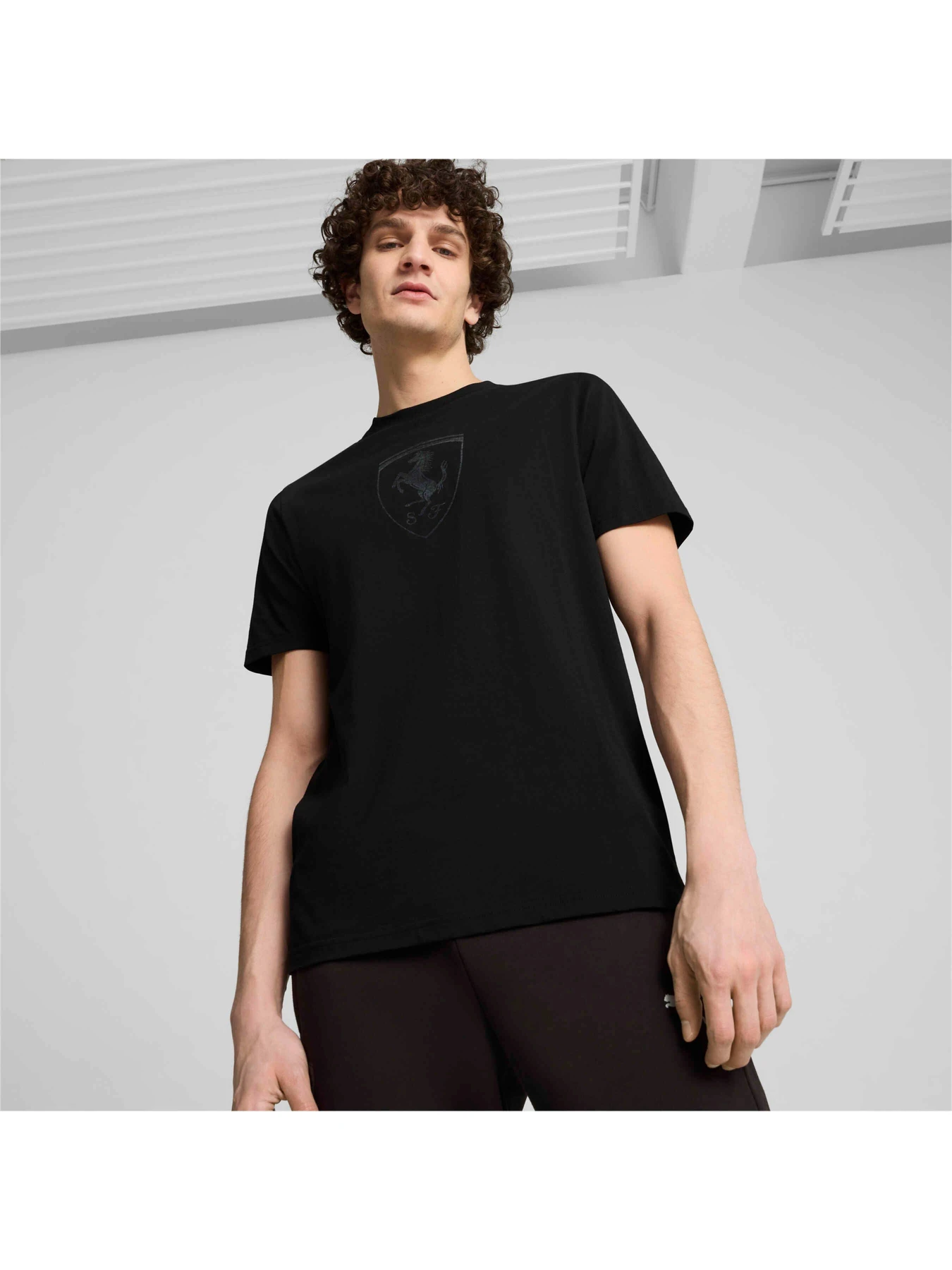 Футболки і поло PUMA Ferrari Race Tonal Shield T модель 627057 Фото