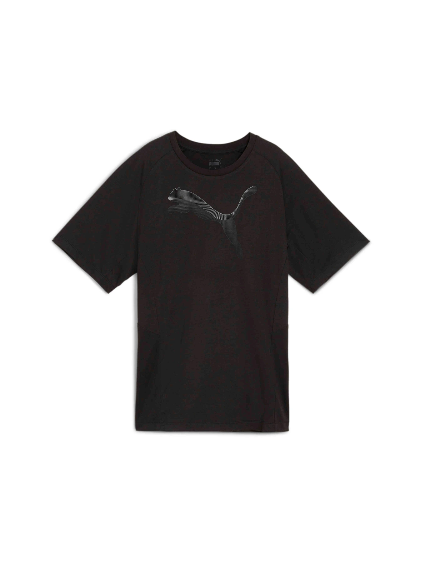 Футболки и поло PUMA Evostripe Tee модель 681668 Фото