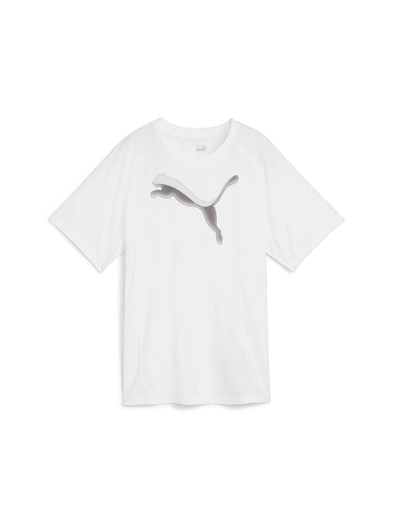 Футболки і поло PUMA Evostripe Tee модель 681668 Футболки і поло PUMA Evostripe Tee модель 681668 Фото