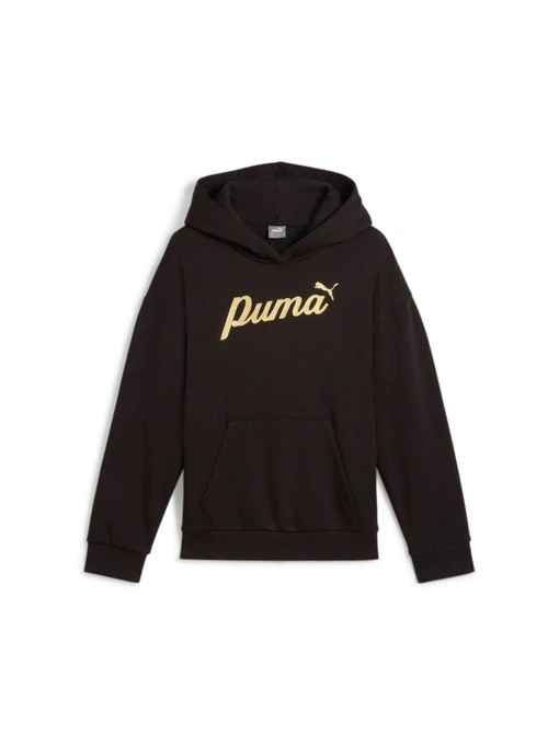 Худи и свитшоты PUMA Ess+ Script Hoodie Fl модель 682780 Фото