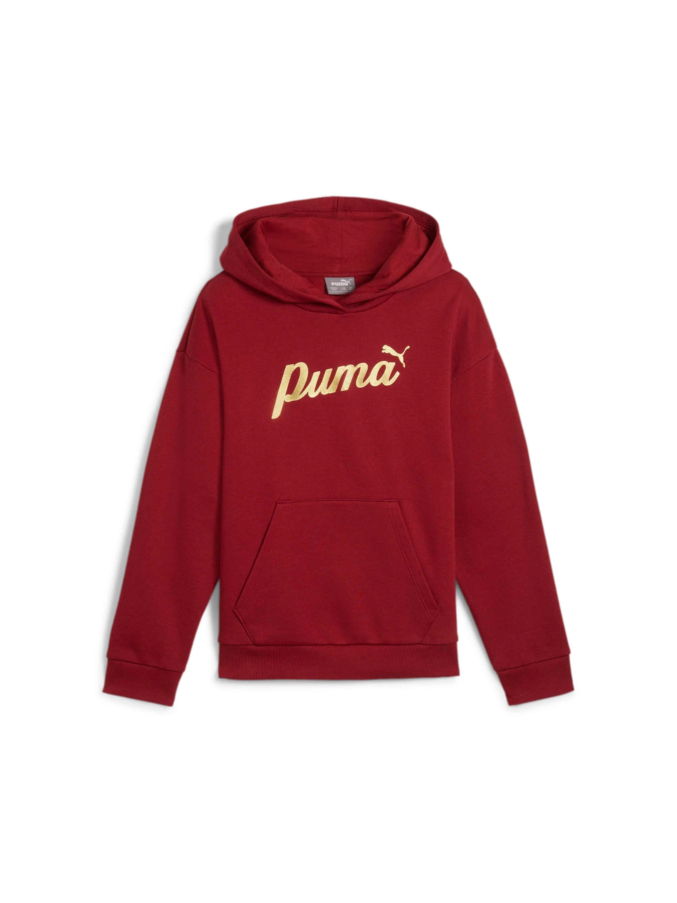 Худи и свитшоты PUMA Ess+ Script Hoodie Fl модель 682780 Худи и свитшоты PUMA Ess+ Script Hoodie Fl модель 682780 Фото