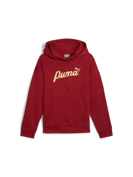 Худи и свитшоты PUMA Ess+ Script Hoodie Fl модель 682780 Фото