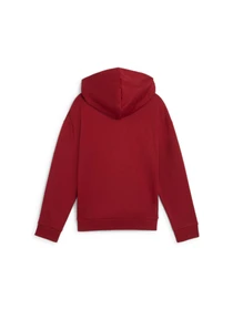 Худи и свитшоты PUMA Ess+ Script Hoodie Fl модель 682780 Фото