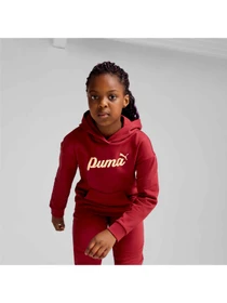 Худи и свитшоты PUMA Ess+ Script Hoodie Fl модель 682780 Фото
