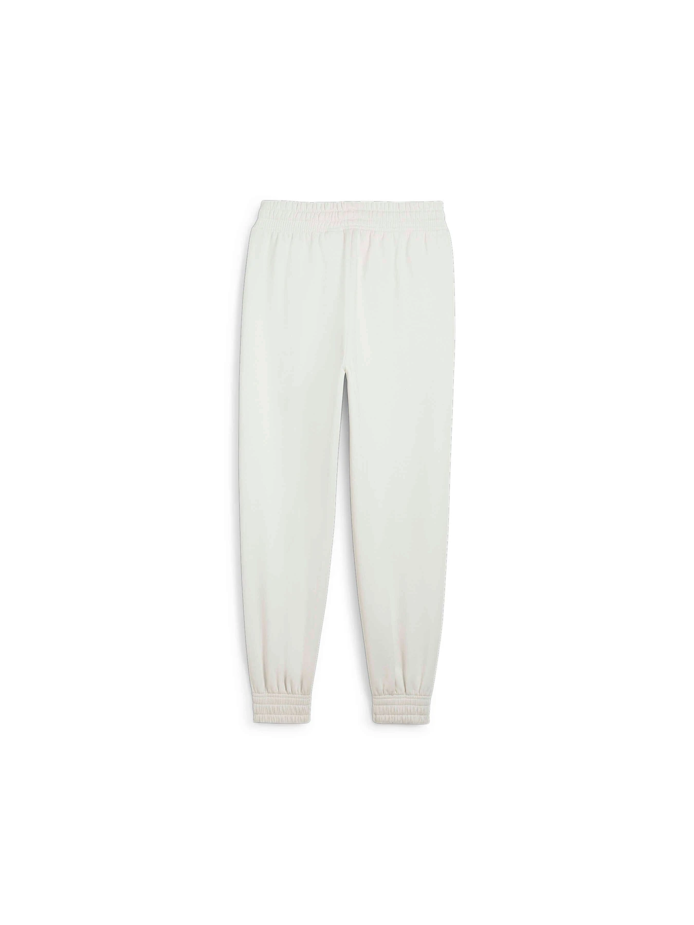 Брюки PUMA Bmw Mms Wmn Ess+ Pants модель 625965 Фото