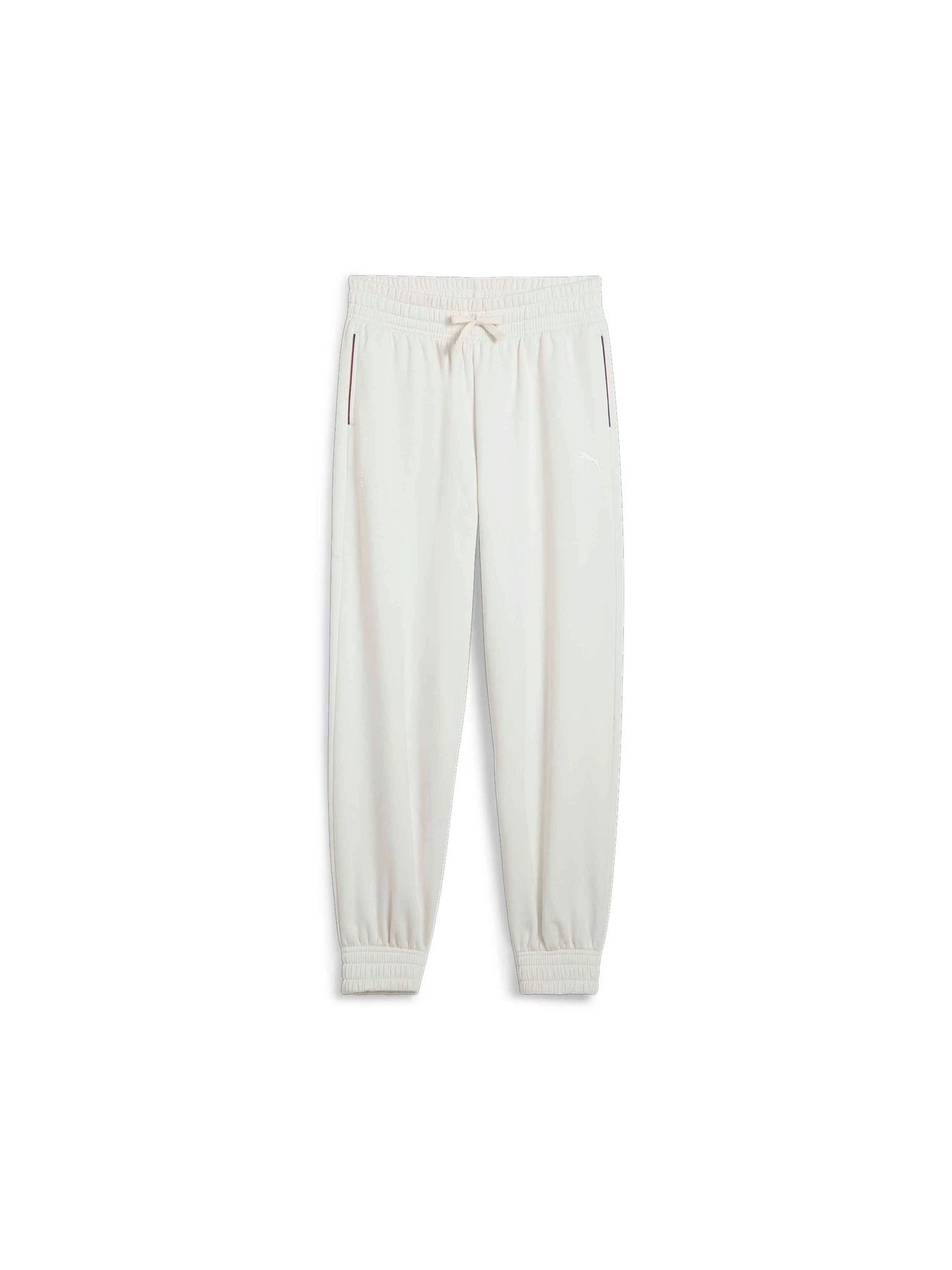 Брюки PUMA Bmw Mms Wmn Ess+ Pants модель 625965 Фото