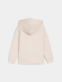 Худи и свитшоты PUMA Ess+ Fc Fz Hoodie модель 681883 Фото