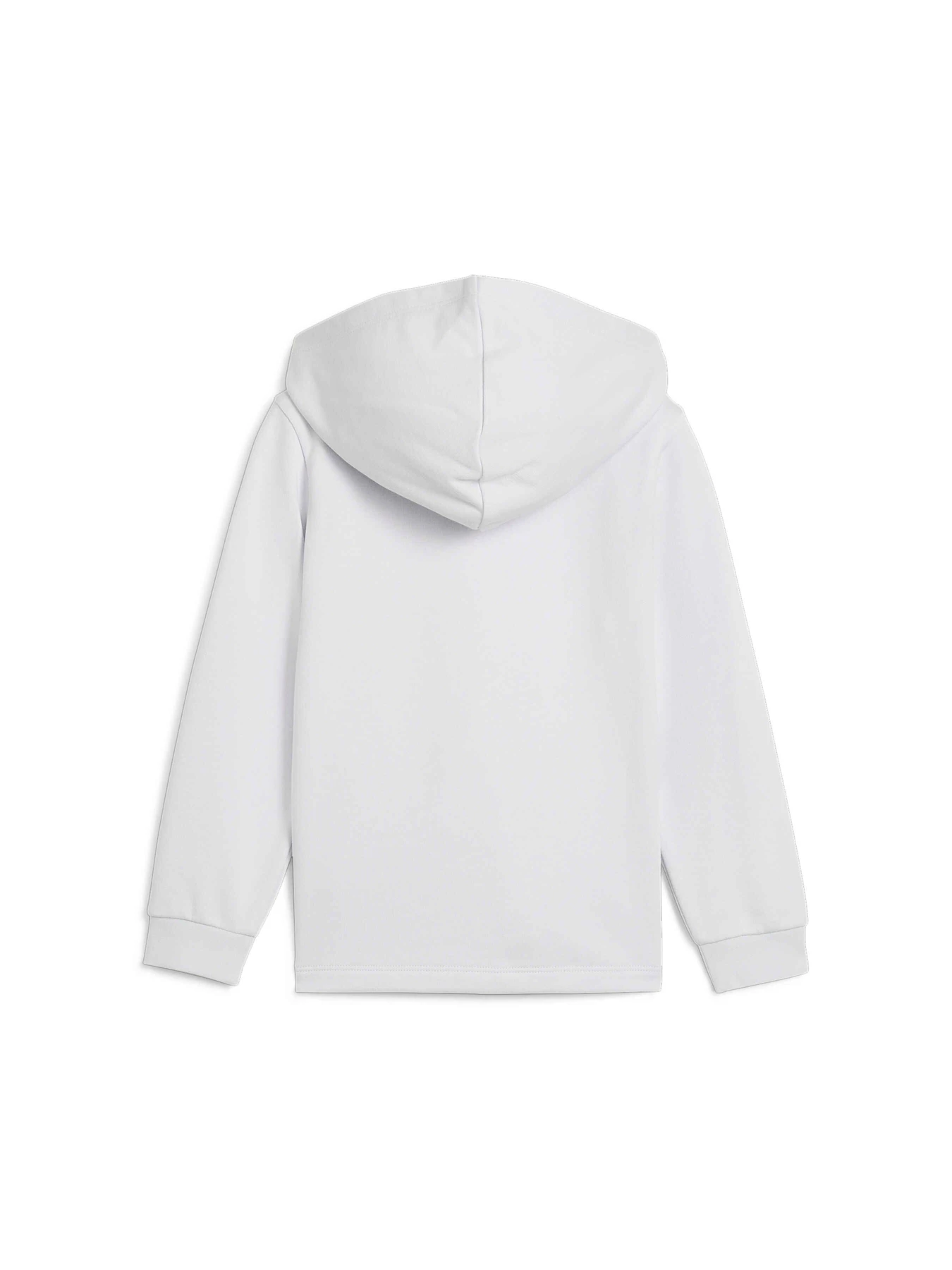 Худи и свитшоты PUMA Ess+ Fc Fz Hoodie модель 681883 Фото