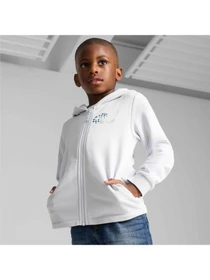 Худи и свитшоты PUMA Ess+ Fc Fz Hoodie модель 681883 Фото