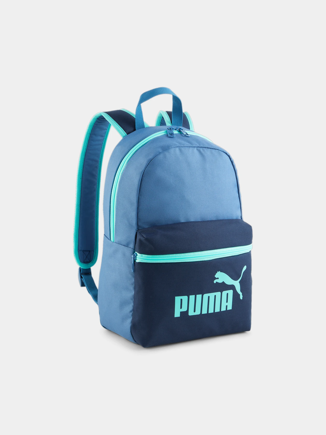 Рюкзак PUMA Phase Small Backpack Phase Small Backpack модель 079879 Рюкзак PUMA Phase Small Backpack Phase Small Backpack модель 079879 Фото