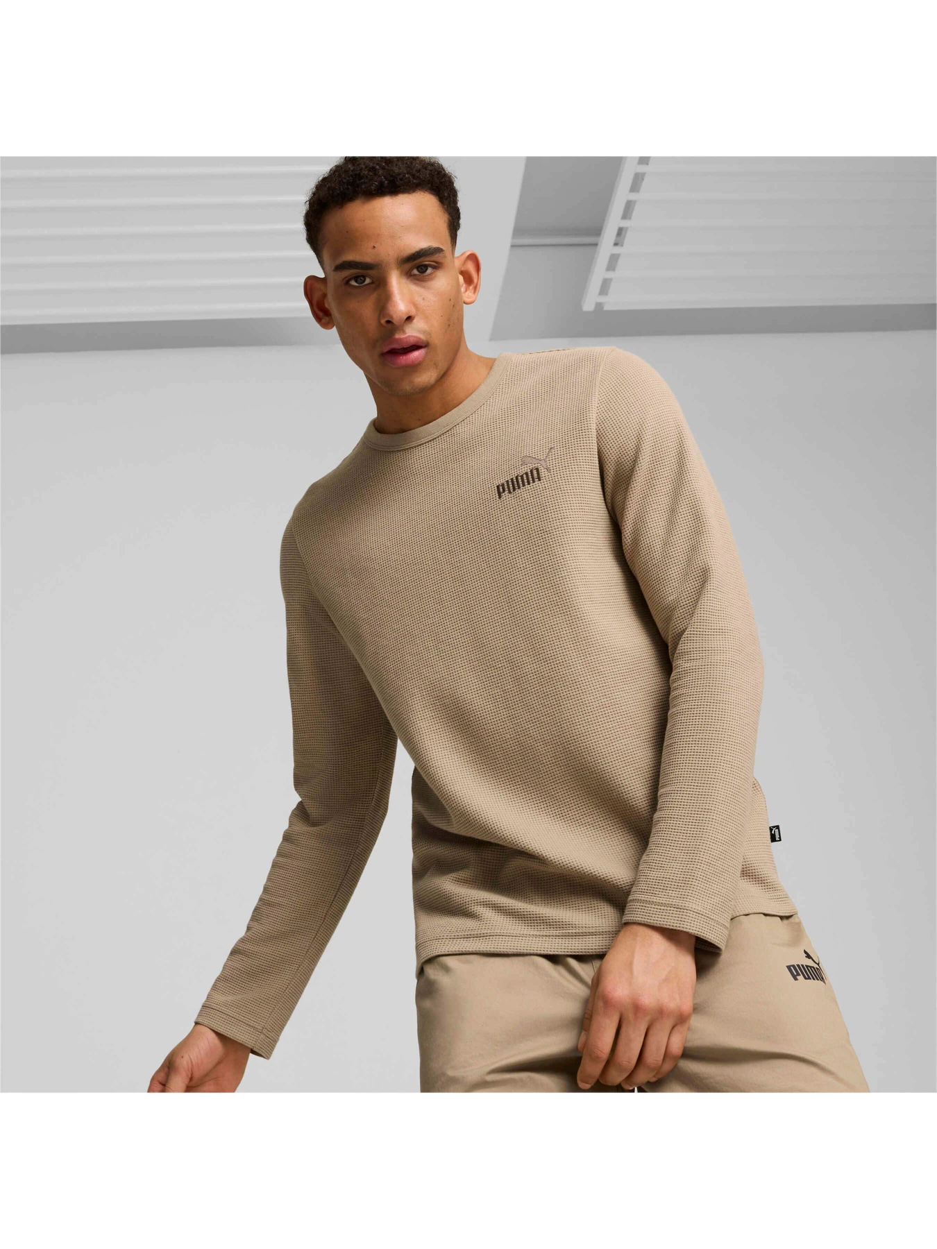 Худи и свитшоты PUMA Ess Elevated Longsleeve Tee модель 681888 Худи и свитшоты PUMA Ess Elevated Longsleeve Tee модель 681888 Фото