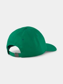 Шапки и кепки PUMA Prime Classic Dad Cap модель 024380 Фото