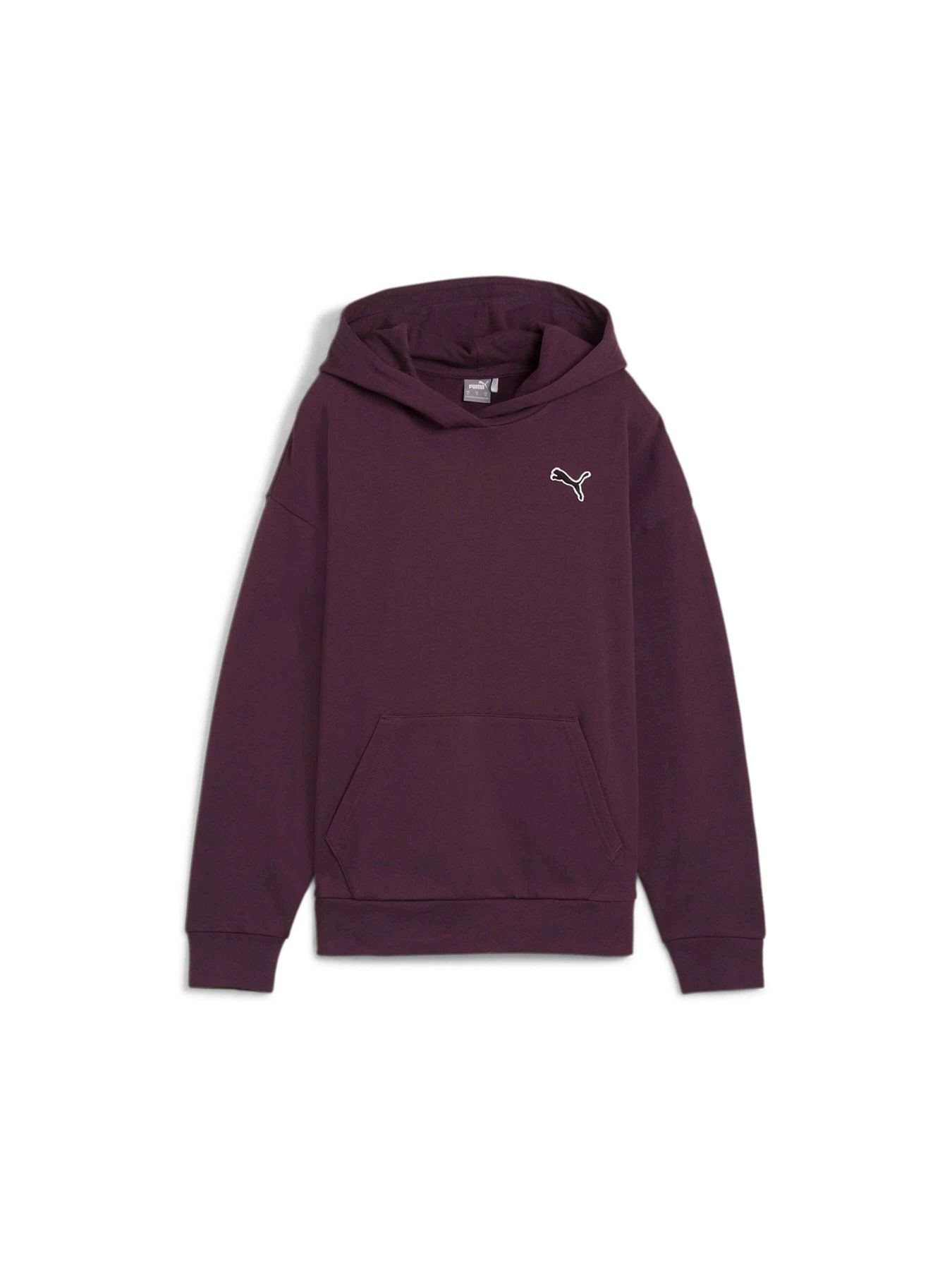 Худи и свитшоты PUMA Better Essentials Hoodie Fl модель 676804 Фото