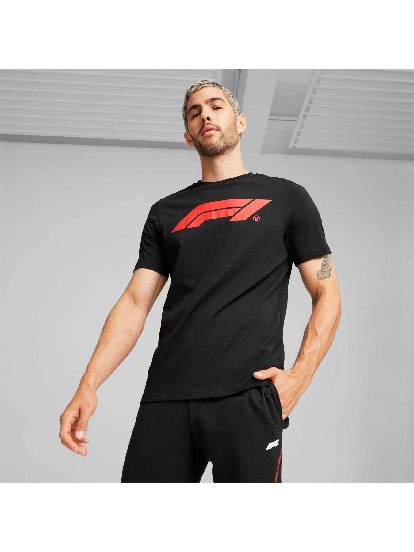 Футболки і поло PUMA F1 Ess Logo Tee модель 625851 Футболки і поло PUMA F1 Ess Logo Tee модель 625851 Фото