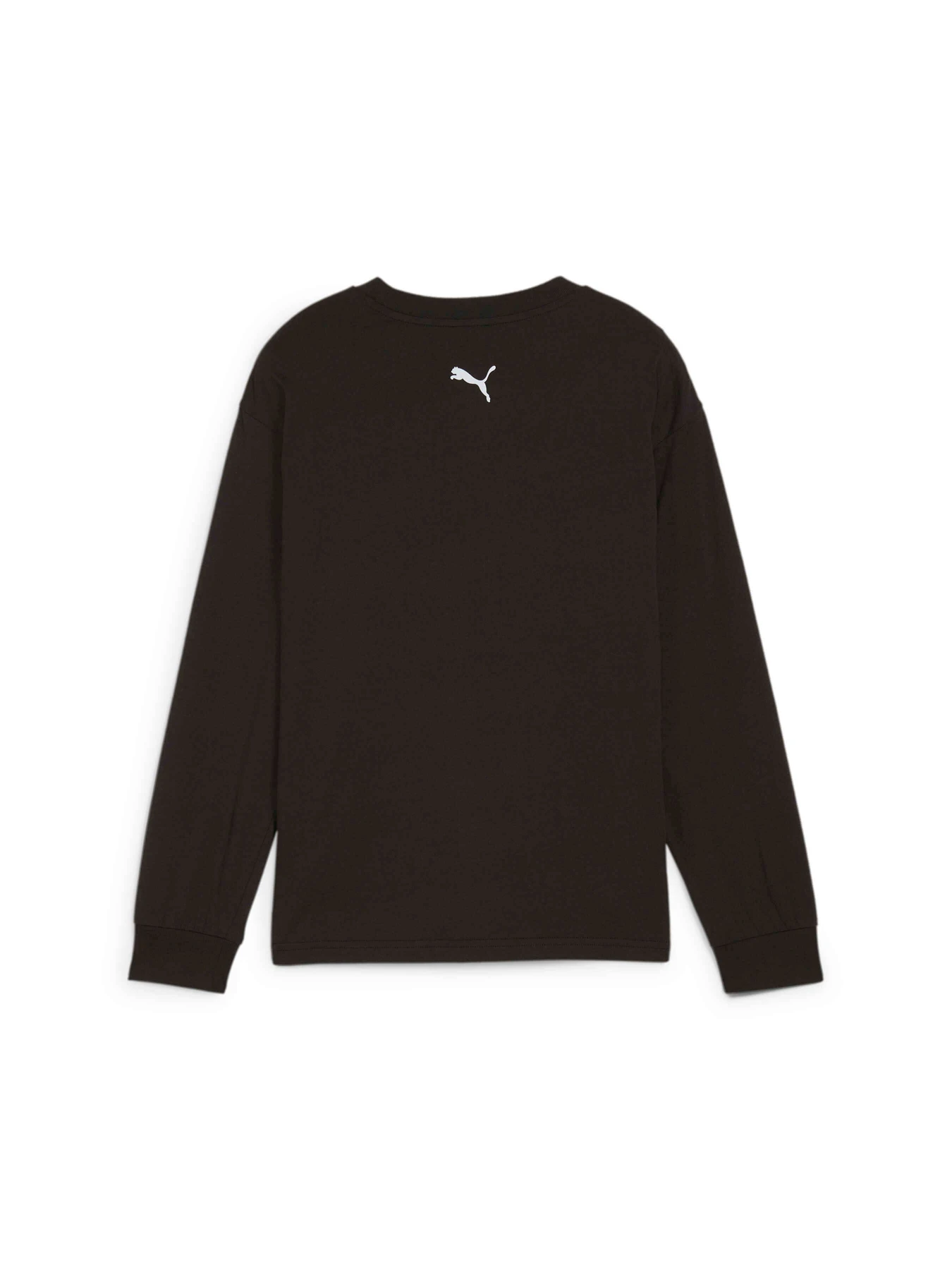 Худи и свитшоты PUMA Martian Sunset Longsleeve модель 626461 Худи и свитшоты PUMA Martian Sunset Longsleeve модель 626461 Фото