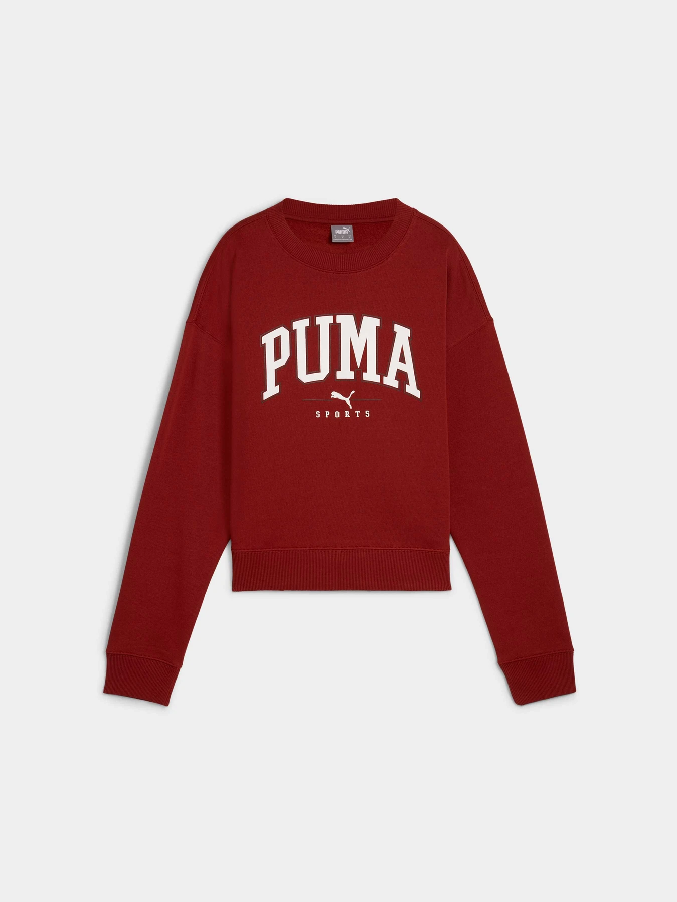 Худи и свитшоты PUMA Squad Crew Fl модель 681539 Фото
