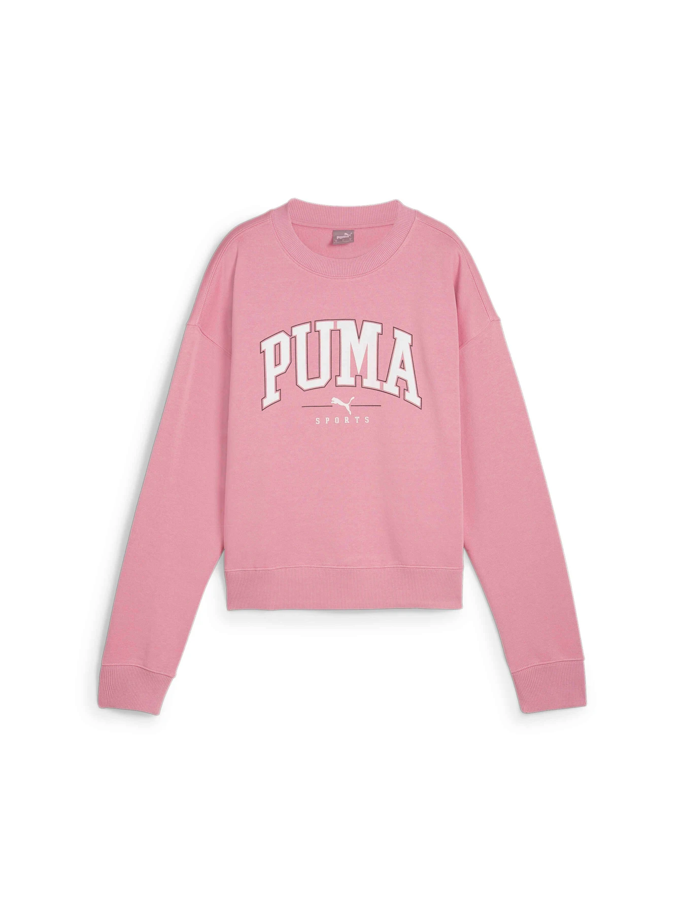 Худи и свитшоты PUMA Squad Crew Fl модель 681539 Фото