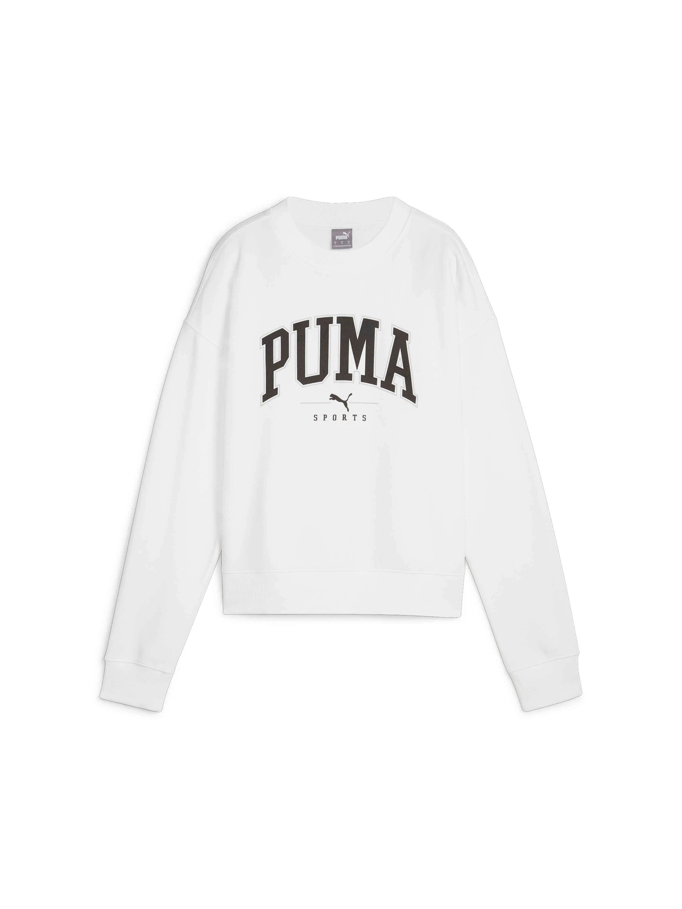 Худи и свитшоты PUMA Squad Crew Fl модель 681539 Фото