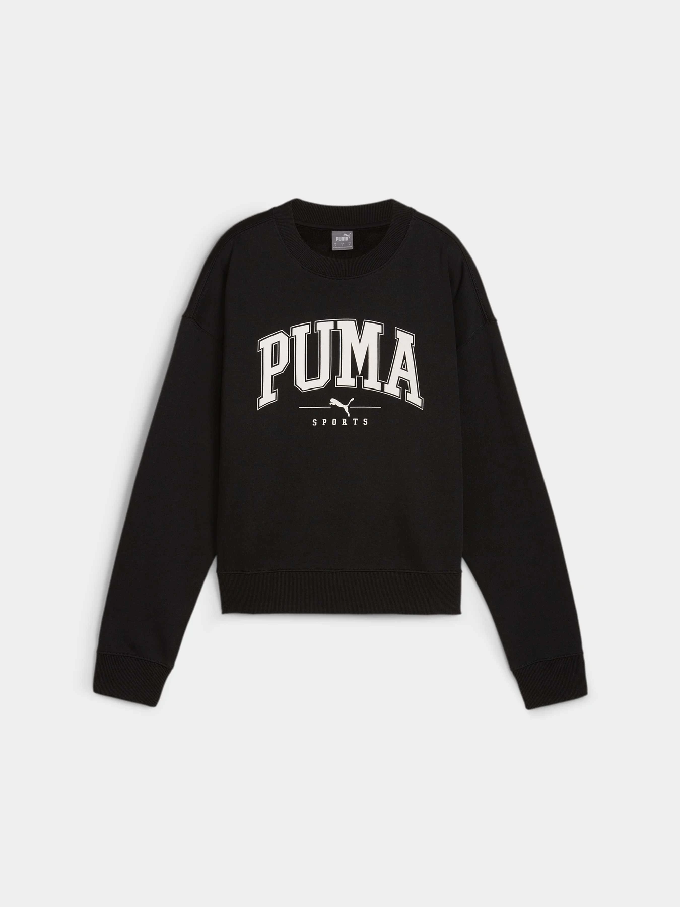 Худи и свитшоты PUMA Squad Crew Fl модель 681539 Фото