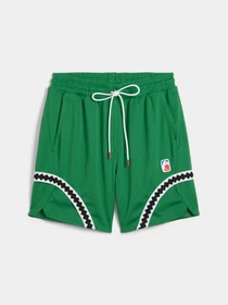 Шорты PUMA Crowd Craze Mesh Short модель 627219 Фото