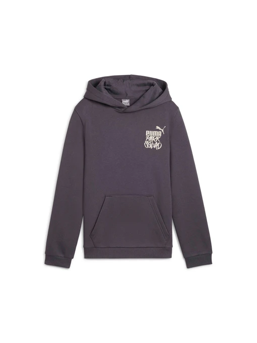 Худи и свитшоты PUMA Ess+ Mid 90s Hoodie Fl модель 681877 Фото