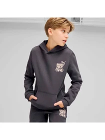 Худи и свитшоты PUMA Ess+ Mid 90s Hoodie Fl модель 681877 Фото