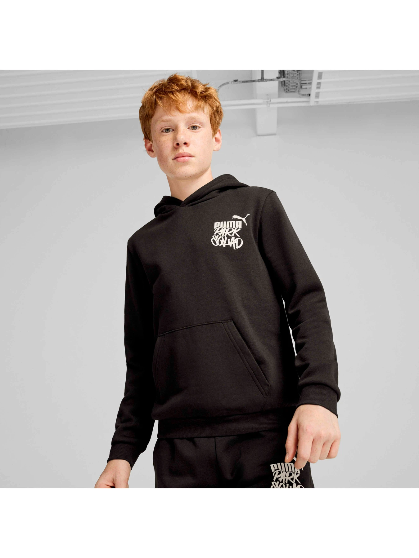 Худи и свитшоты PUMA Ess+ Mid 90s Hoodie Fl модель 681877 Худи и свитшоты PUMA Ess+ Mid 90s Hoodie Fl модель 681877 Фото