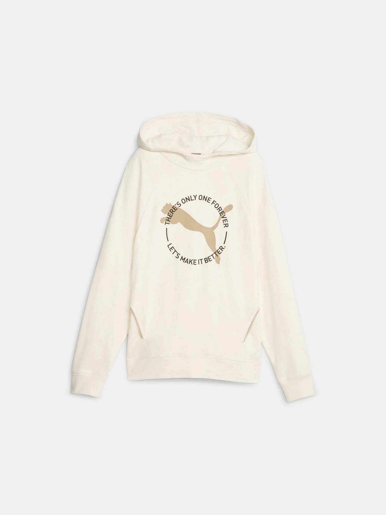 Худі та світшоти PUMA Better Sportswear Hoodie модель 676068 Фото