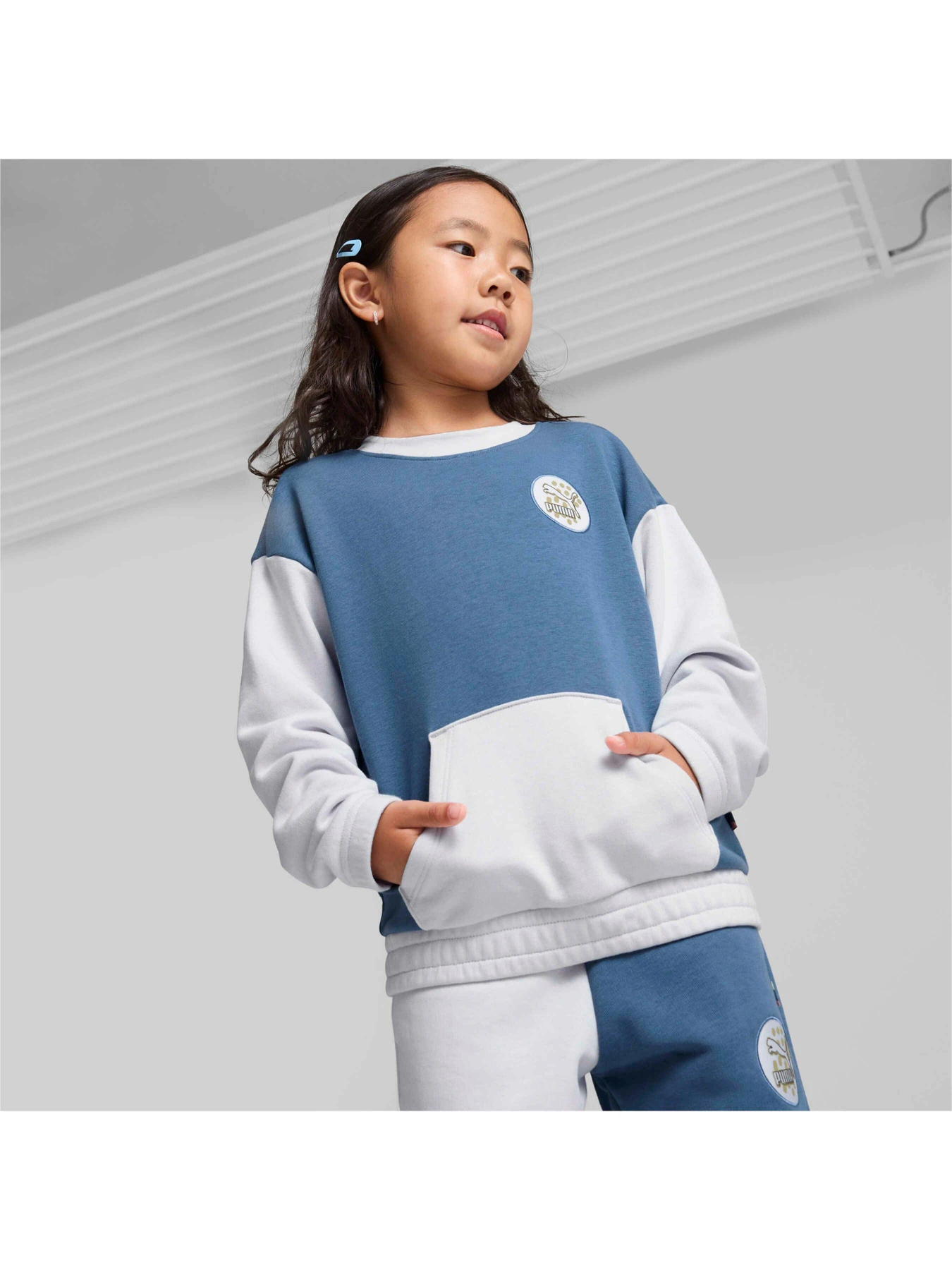 Худи и свитшоты PUMA Classics Fc Crew модель 626498 Фото