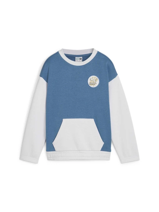 Худи и свитшоты PUMA Classics Fc Crew модель 626498 Фото