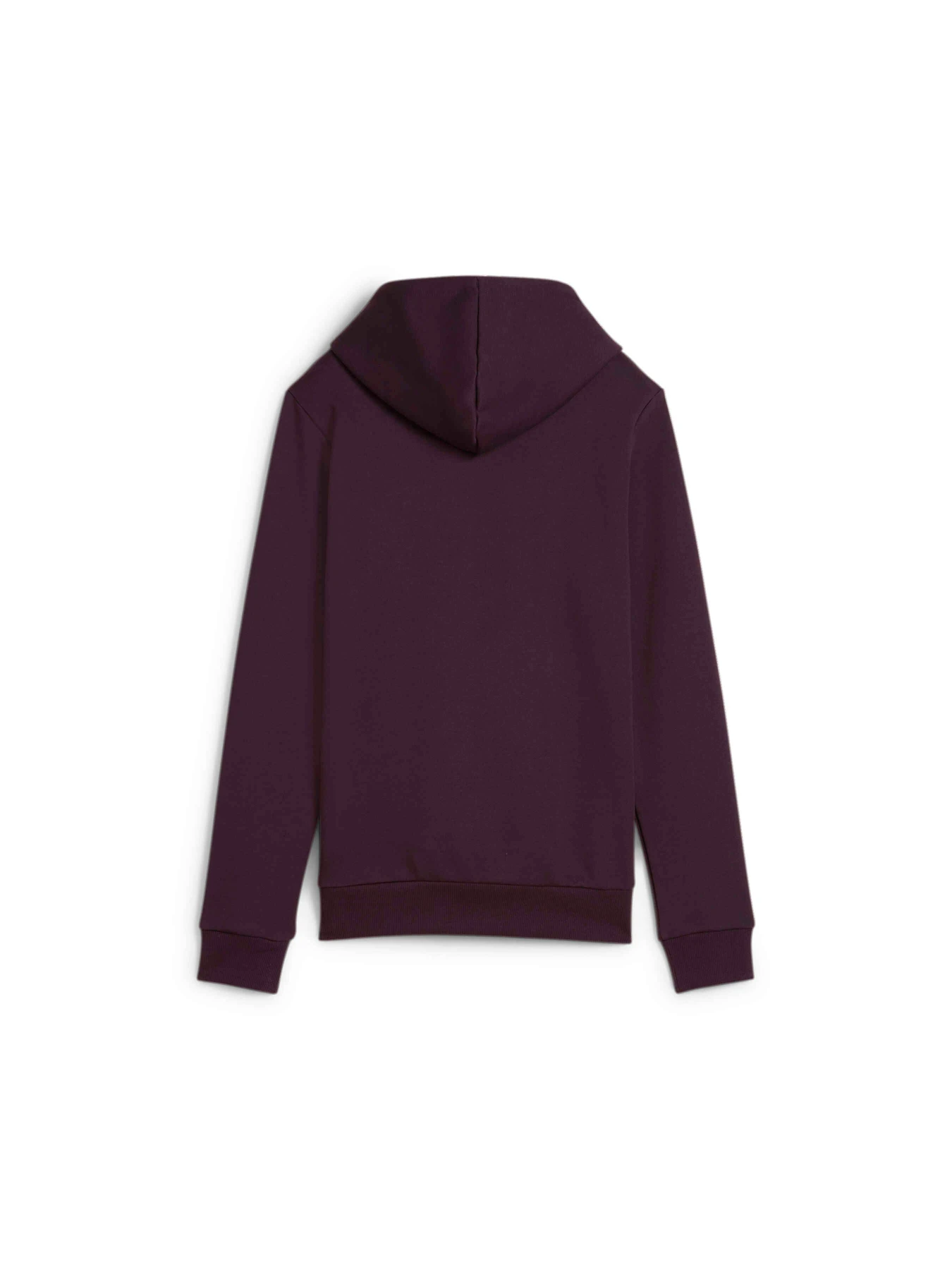 Худі та світшоти PUMA Ess Logo Hoodie Fl модель 586789 Фото